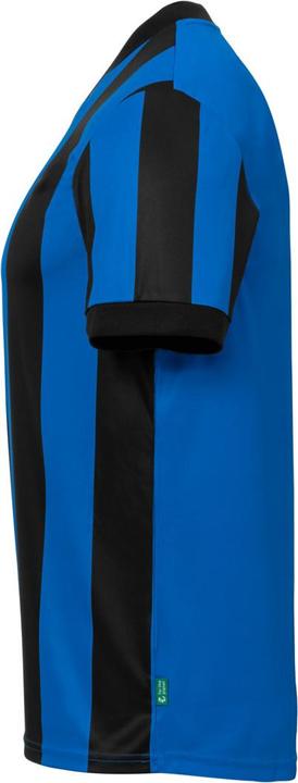 Actual product image Uhlsport Retro Stripe (XXL)