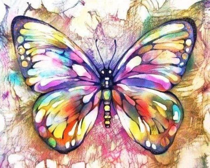 Immagine prodotto Figured'Art Ricamo a Punto Croce - Farfalla E Colori