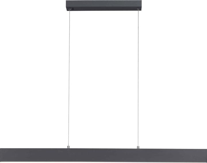 Produktbild Paul Neuhaus LED-Pendelleuchte 2548-13 anthrazit, 34 W, 4080 lm (4080 lm)