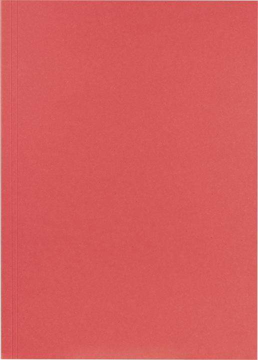 Actual product image Falken File collector (A4, 1 x)