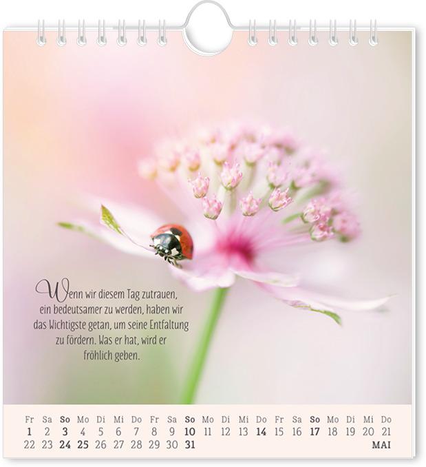 Actual product image Postkartenkalender 2026 Lebenszeichen (16 x 17 cm, German)