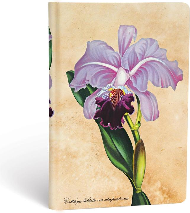 Produktbild Paperblanks Notizbuch Brasilianische Orchidee (95 x 140 mm, Liniert, Harter Einband)