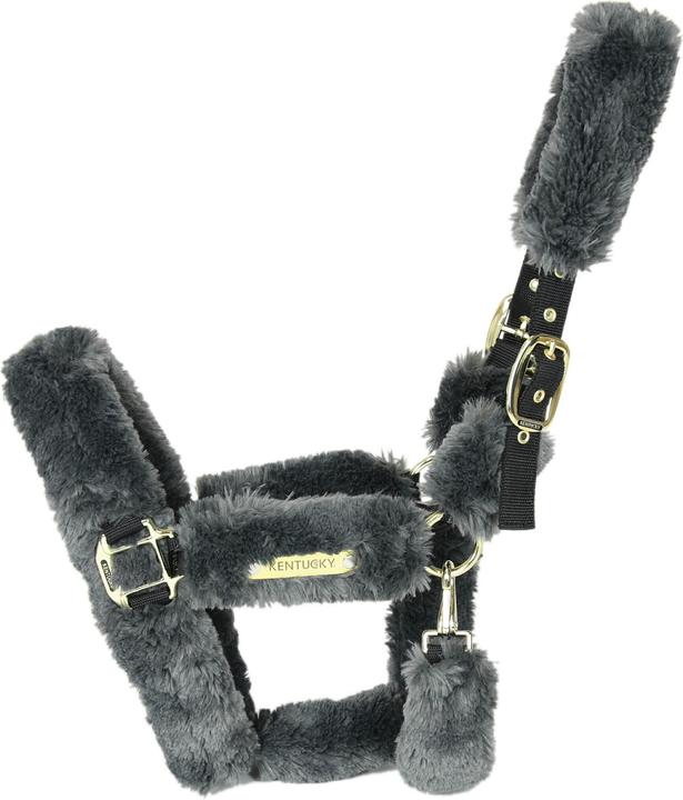 Produktbild Kentucky Horsewear tragehalfter schaf