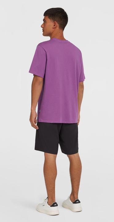 Actual product image O'Neill Hybrid Chino 19 Shorts (L)