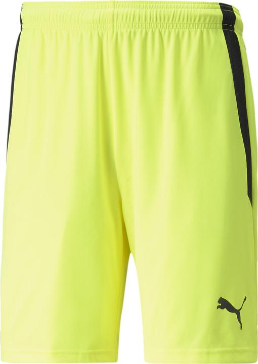 Actual product image Puma teamLIGA shorts (XL)