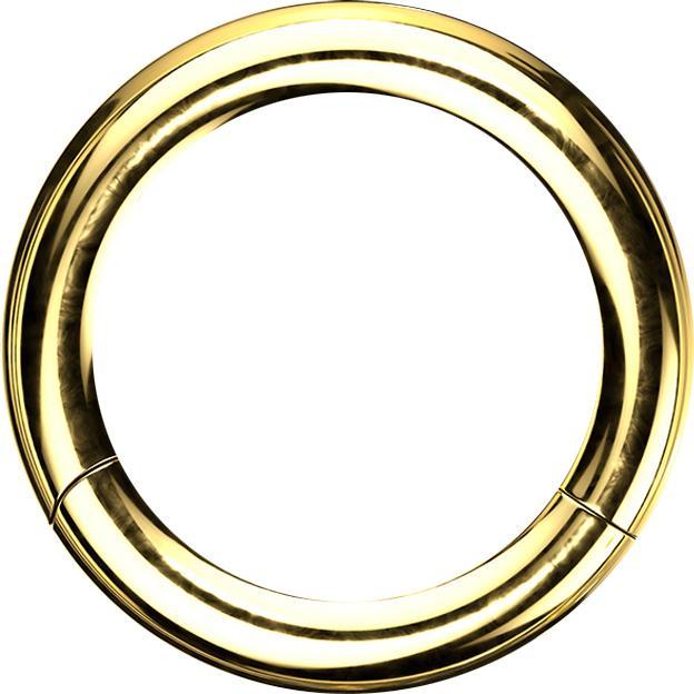 Produktbild Star Piercing Segmentring vergoldet mit Titanium Schicht (Chirurgenstahl 316L, ohne Messing)