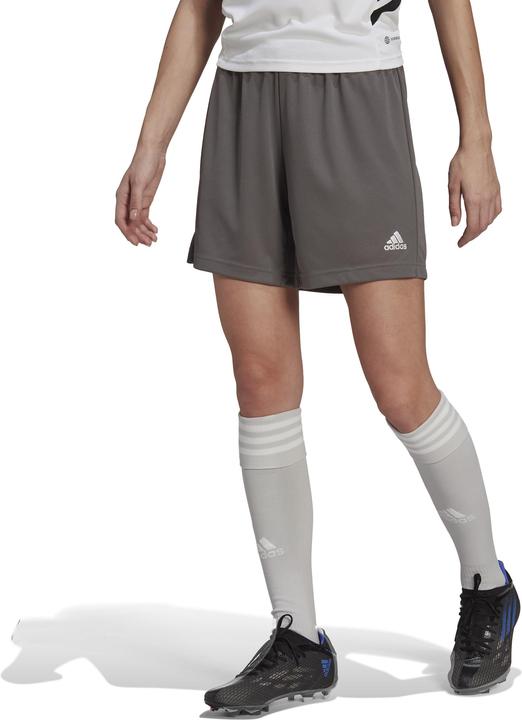 Actual product image adidas Ladies Shorts Entrada 22 grey HH9995 (XL) (XL)