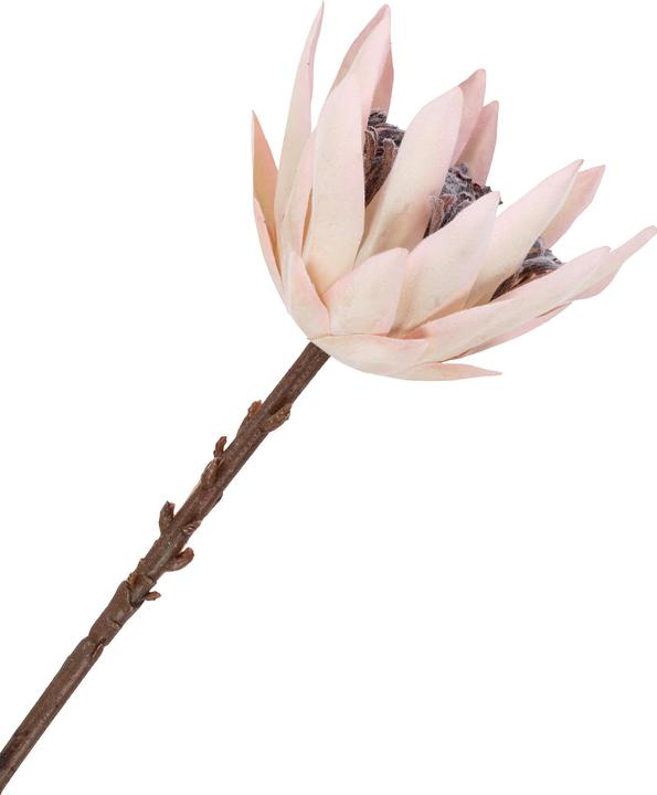 Immagine prodotto House Nordic King (65 cm)