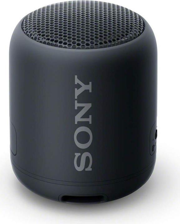 Sony SRS-XB12 (16 h, Rechargeable battery operated)