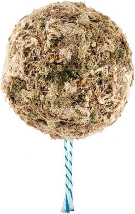 Produktbild Dipz and Grow Saladball (17 cm)