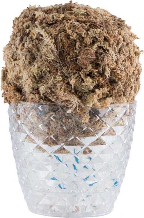 Produktbild Dipz and Grow Saladball (17 cm)