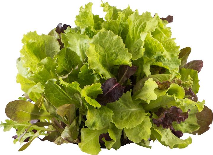 Produktbild Dipz and Grow Saladball (17 cm)