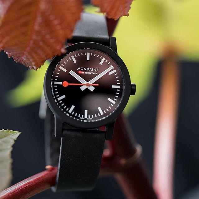 Actual product image Mondaine Essence (Analogue wristwatch, Swiss made, 32 mm)