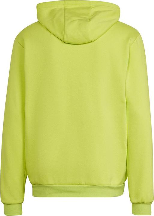 Actual product image adidas Entrada 22 Sweat Hoodie (S)
