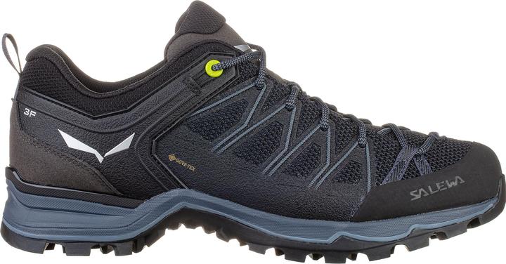Image du produit Salewa Chaussures MTN Trainer Lite GTX (42)