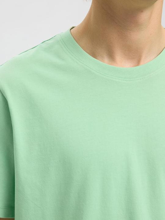 Actual product image Selected Homme Regular T-Shirt (L)