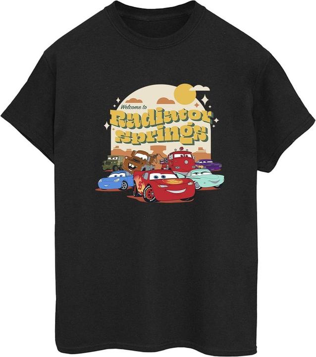Disney Cars Radiator Springs Group TShirt (XL)