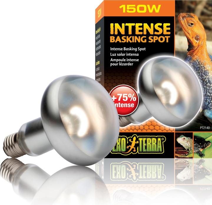 Exo Terra Sun Glo Wärme Spotlampe (UVA)
