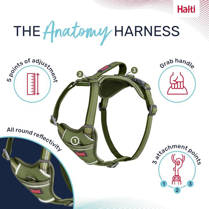 Actual product image Company of Animals Halti Anatomy XS dog harness (XS, Dog, General)