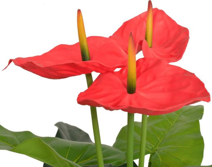 Actual product image VidaXL Rhonda (45 cm)
