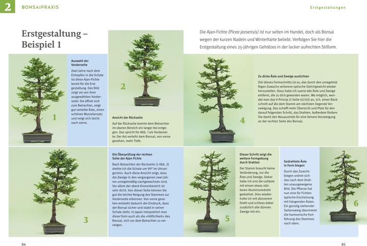 Nährwerte und Zutaten Bonsai ziehen, gestalten und pflegen (Deutsch, Johann Kastner, 2024)