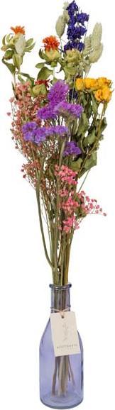 Floramall Bohemia (Dried flowers)