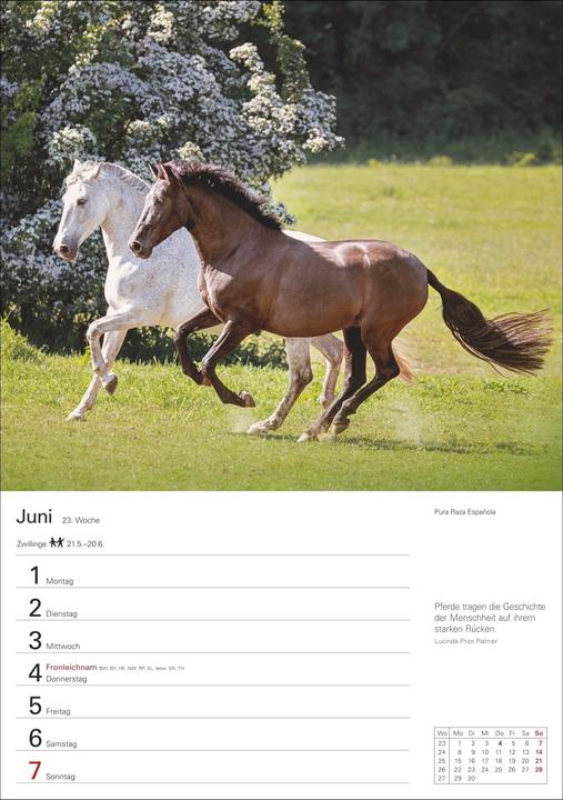 Image du produit Harenberg Pferde Wochenplaner 2026 - 53 faszinierende Fotografien (Allemand)