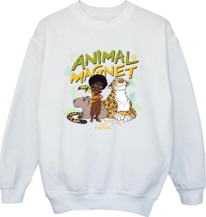 Disney Encanto Animal Magnet Sweatshirt Jungen