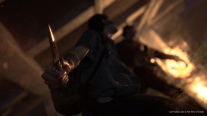 Immagine prodotto Sony The Last of Us Part II Edizione Standard (EN/RU) PS4 (PS4, DE)