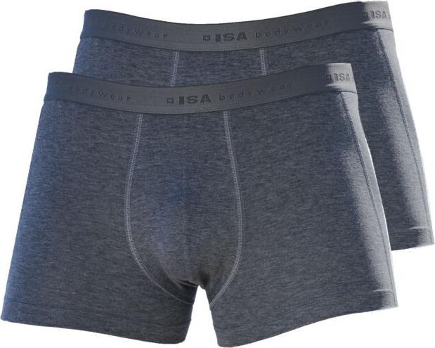 Actual product image ISA Bodywear Panty (L, pack of 2)