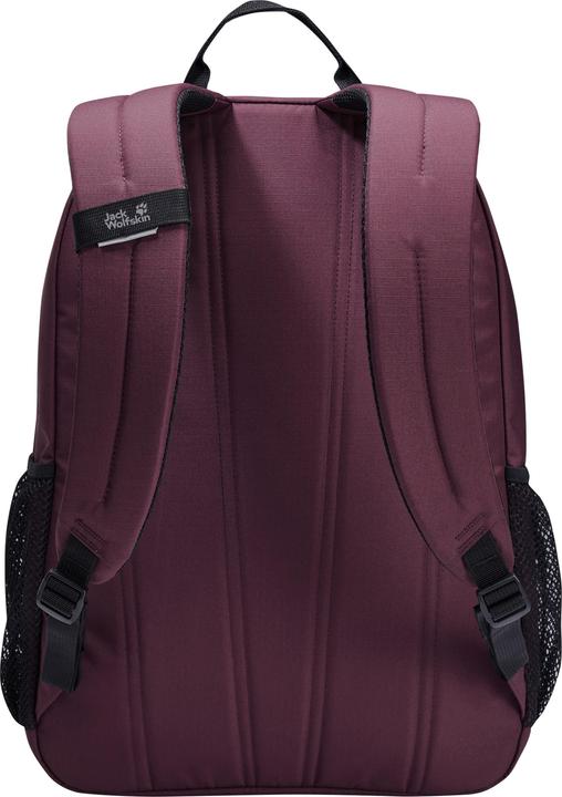 Actual product image Jack Wolfskin Back To School 25
