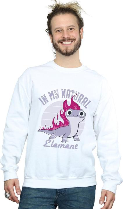 Produktbild Disney Frozen 2 Salamander Bruni Element Sweatshirt (4XL)