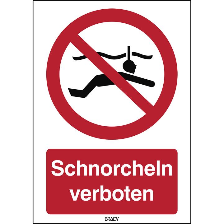 Actual product image Brady P/P050/DE333/PP-297X420-1, ISO safety labelling - Snorkelling prohibited