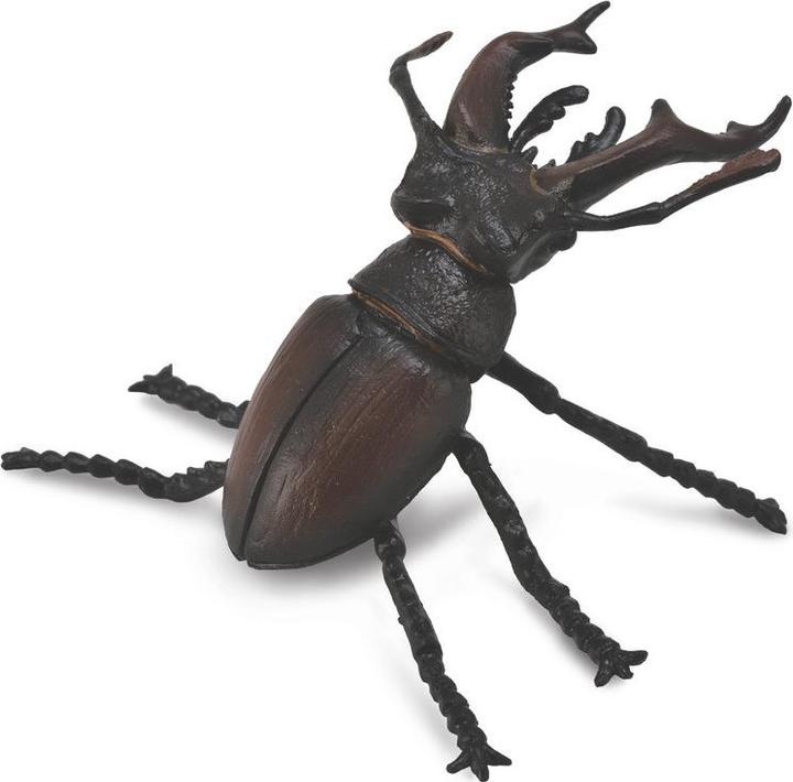 Produktbild Collecta Hirschkäfer (M)