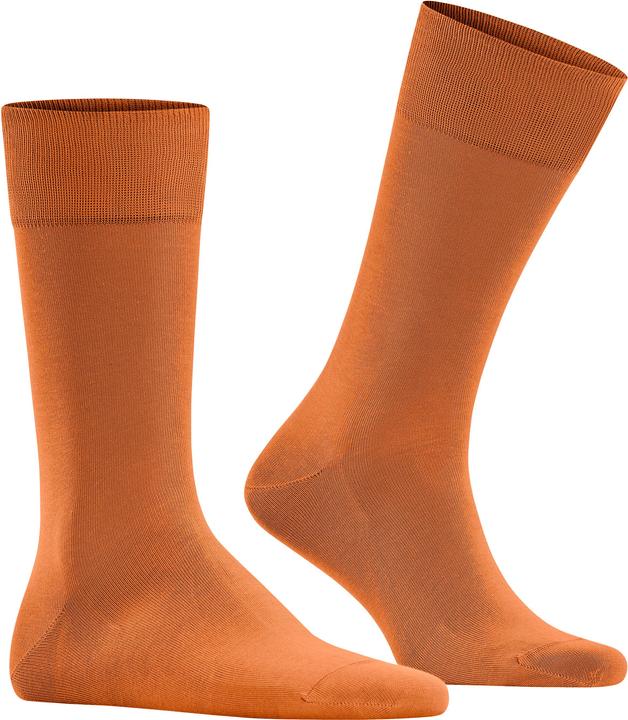Immagine prodotto Falke Cool 24/7 (Confezione singola, 41 - 42)