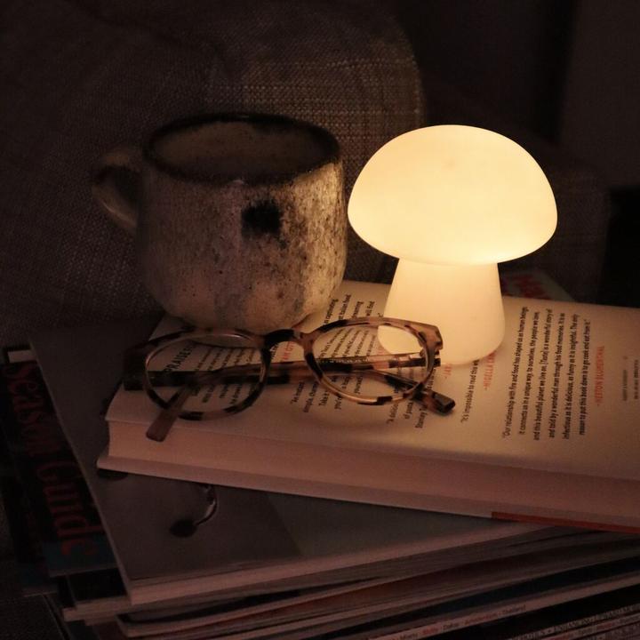 Immagine prodotto Kikkerland Fungo medio Light