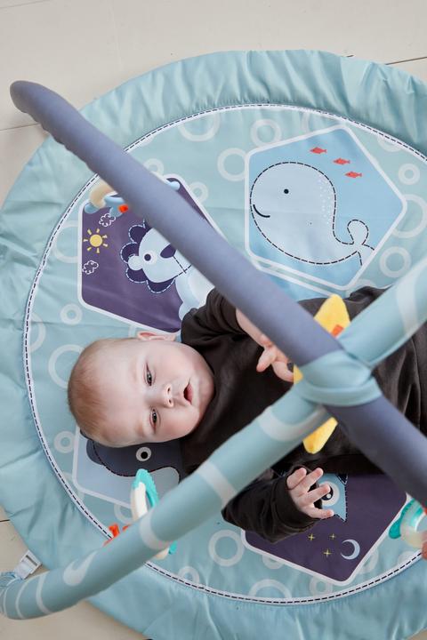Produktbild Scandinavian Baby Products Zoo Activity Gym