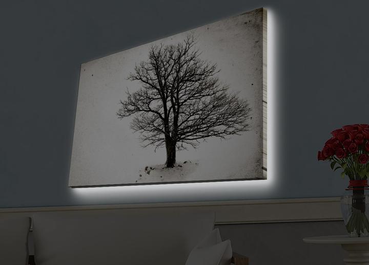 Produktbild Wallxpert Jace (45 x 70 cm)