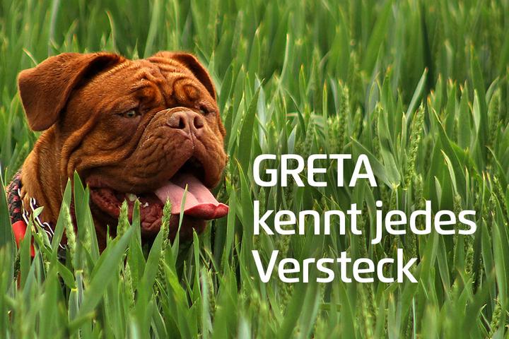 Immagine prodotto Prothelis Sistema di localizzazione Greta (Cavallo, Cane)