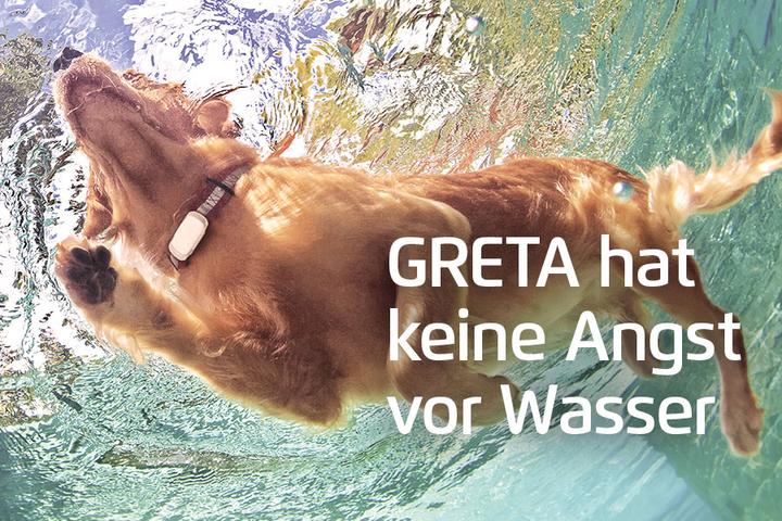 Immagine prodotto Prothelis Sistema di localizzazione Greta (Cavallo, Cane)