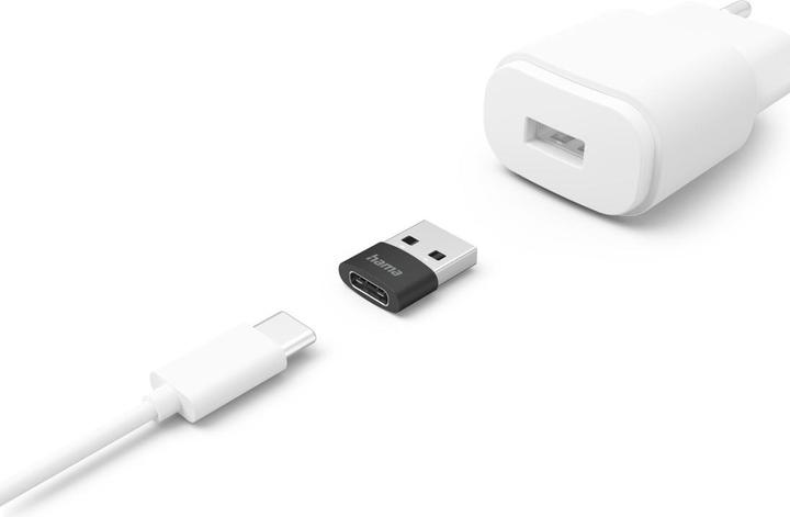 Image du produit Hama Adaptateur USB A mâle - USB C femelle, 3 pièces, noir (USB-C)