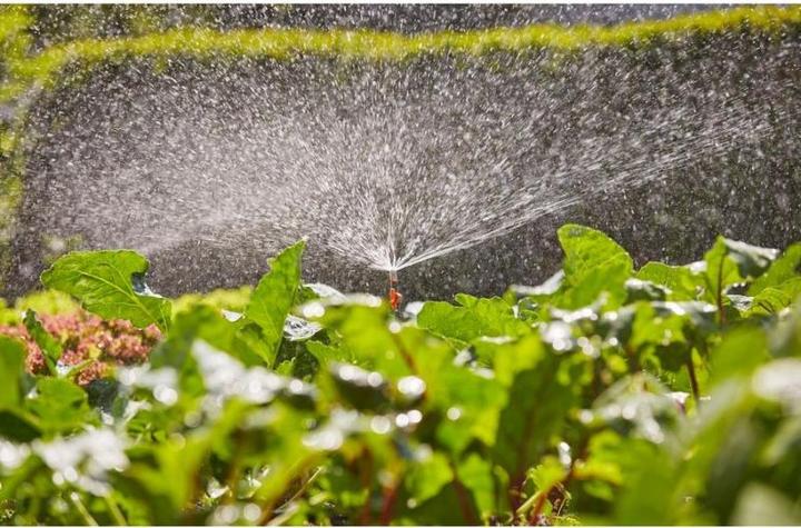 Image du produit Gardena Buse de pulvérisation à 360 (Irrigation goutte à goutte)