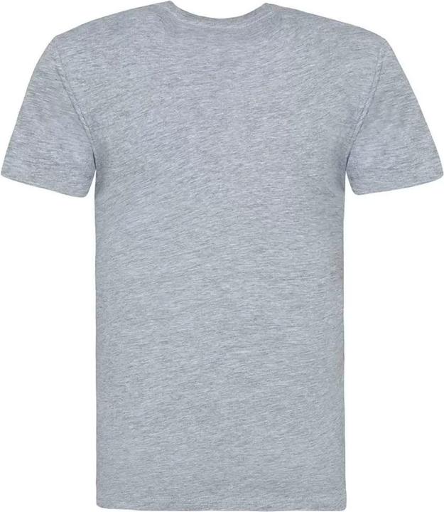 Actual product image Awdis 100 TShirt (XXL)