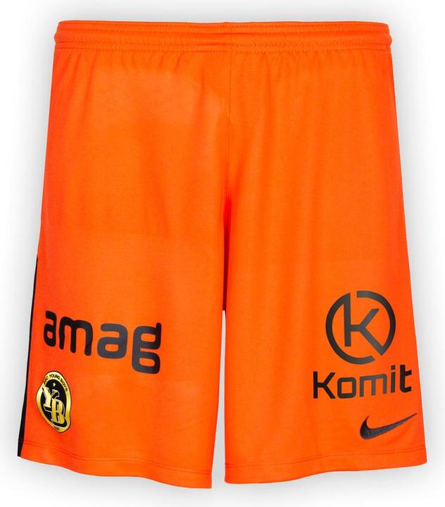 Nike Park Iii Short