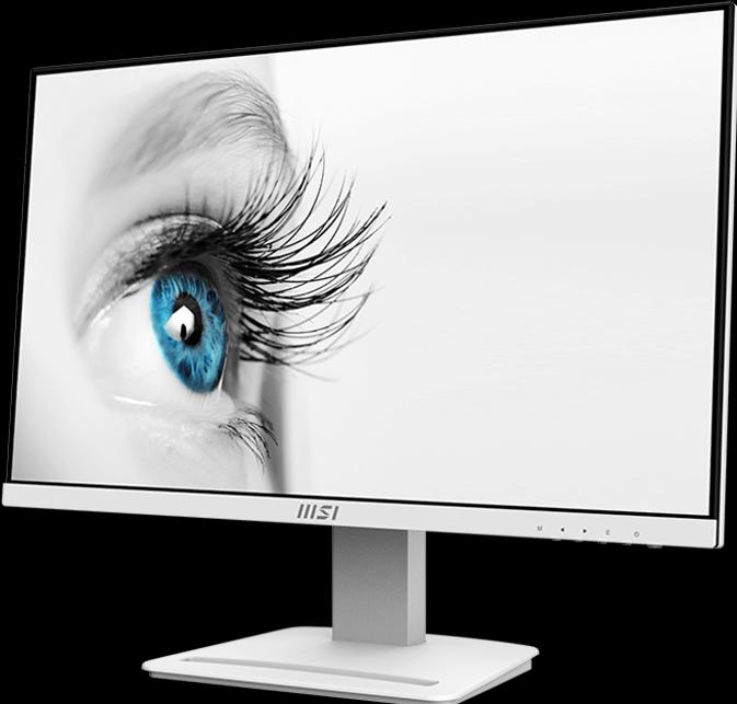 Produktbild MSI PRO MP243XWDE (1920 x 1080 Pixel, 23.80")
