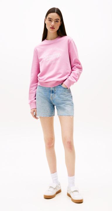 Immagine prodotto Tommy Jeans Tjw Reg Essential Logo1 Crew Ext (S)