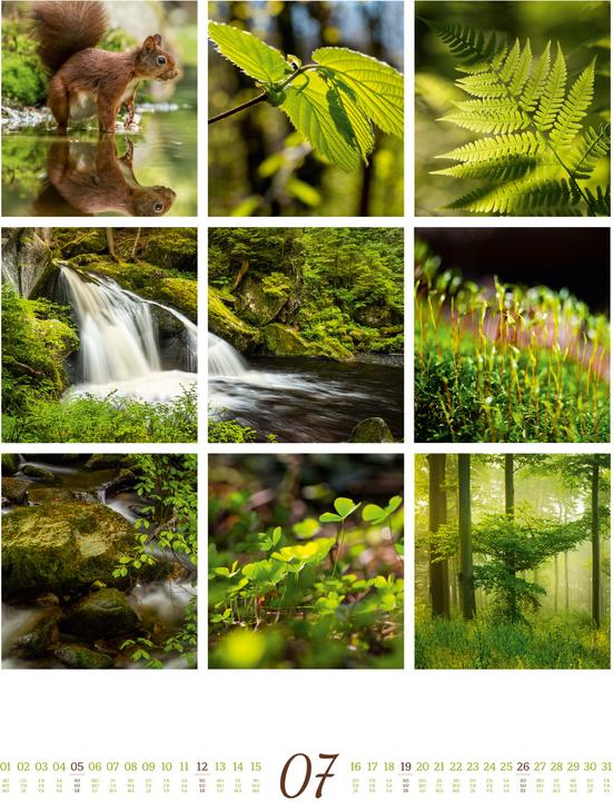 Immagine prodotto Inspiration Natur Kalender 2026 (Copertina rigida, Inglese, Francese, Tedesco)