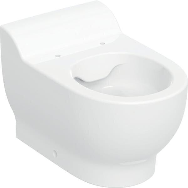 Actual product image Geberit Bambini pedestal WC for children, Washdown, Rimfree, height:30cm