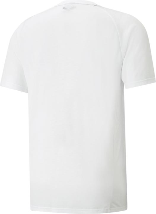 Pumawhite