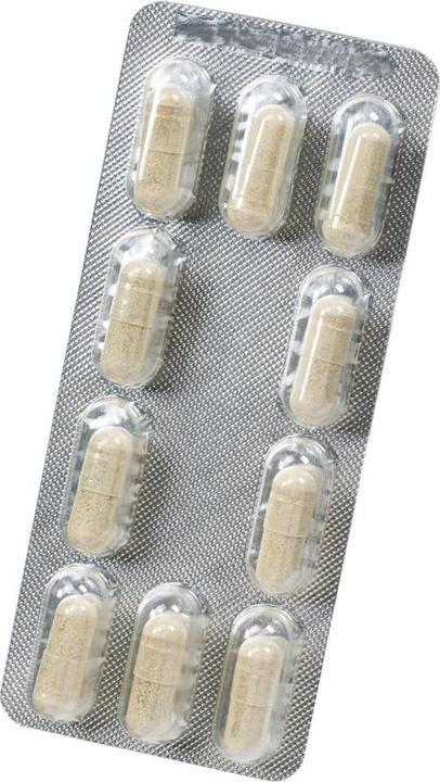 Actual product image Floradix Iron and B 12 Vegan (40 Piece, Capsules, 37 g)